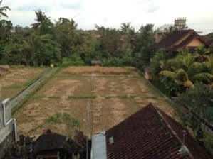 Pondok Mertha House Ubud Exteriér fotografie